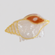 Pale Orange / One Size