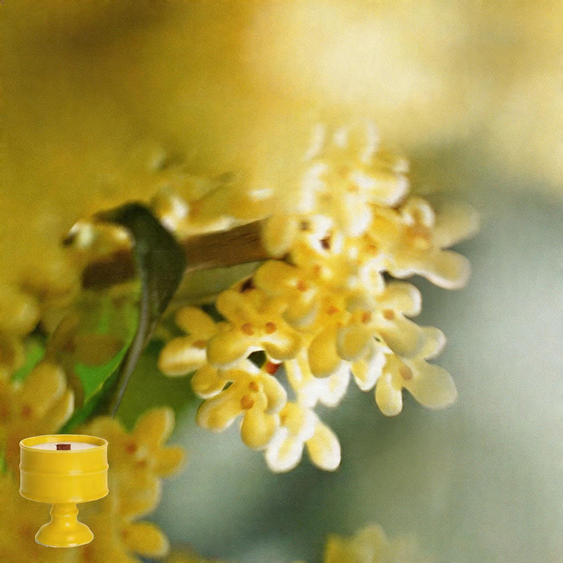 Ins Style Goblet Soy Wax Scent - Shopdayla Wholesale - #1746