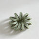 Light Green / One Size