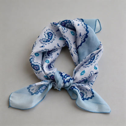 Vintage Soft Blue Floral Print - Shopdayla Wholesale - #1586