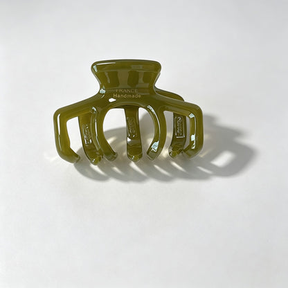Small Tortoise Claw Clip