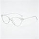 Transparent Frame / Clear Lens / One Size