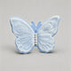 Sky Blue / Set