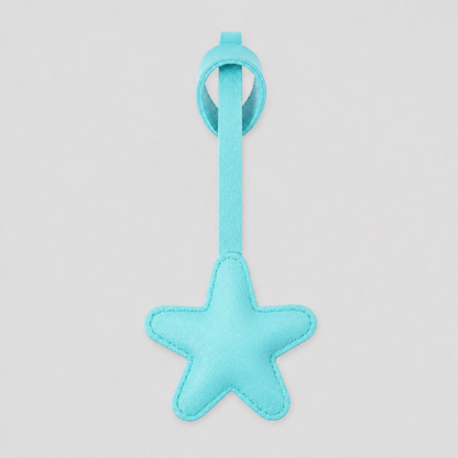 Everyday Star Pendant Charm