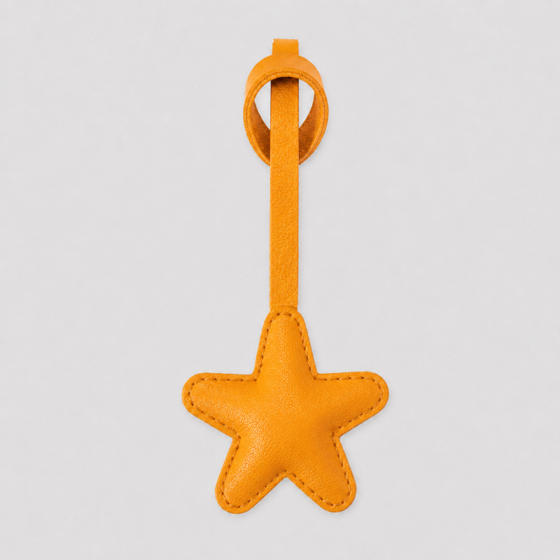 Everyday Star Pendant Charm