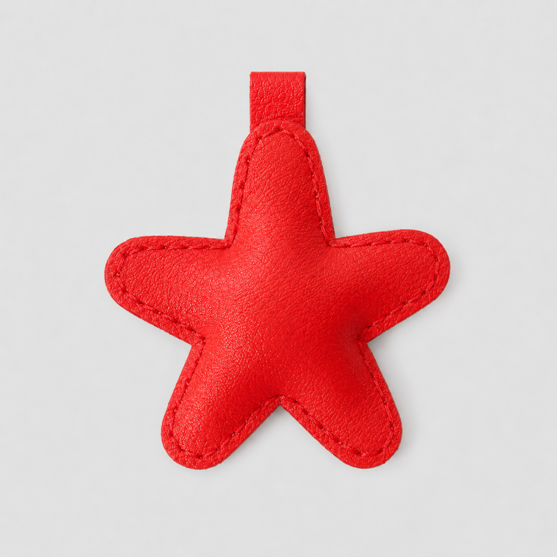 Everyday Star Pendant Charm