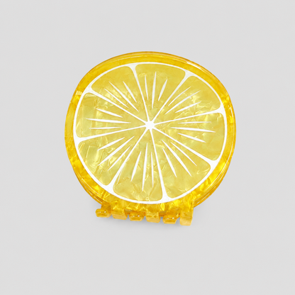 Round Fruit Slice Hair Claw Clip