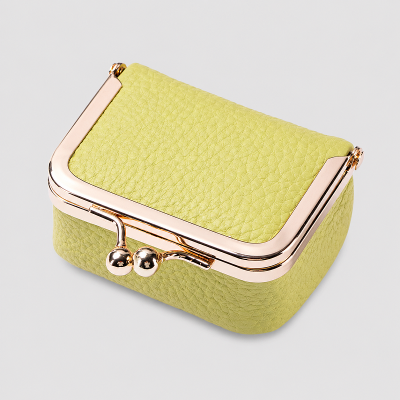 Dot Jewelry Case