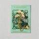 Green / One Size/1Pack/1PCS