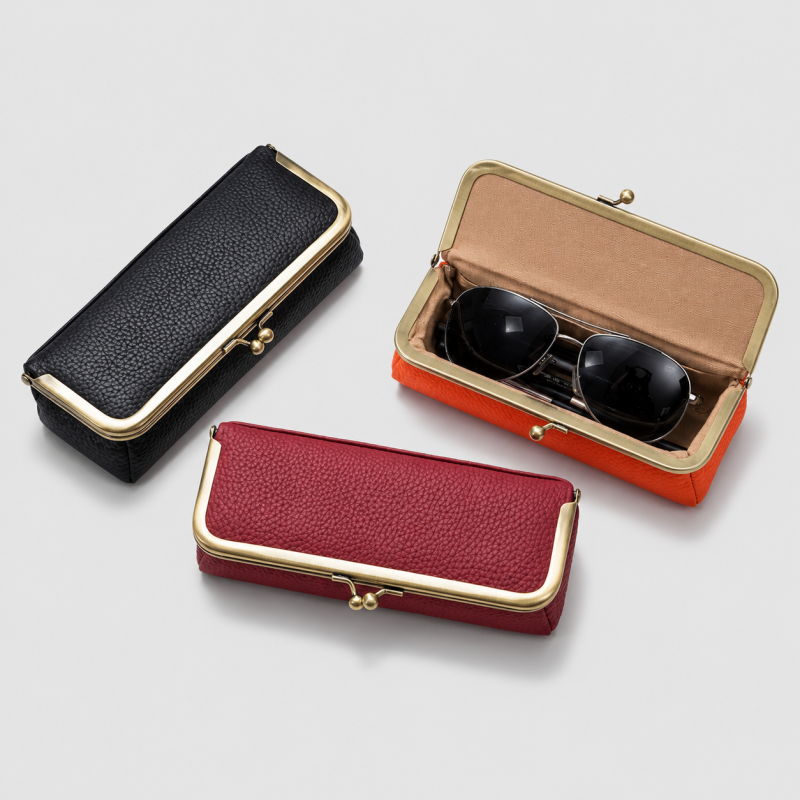 Frame Case Pouch Glasses
