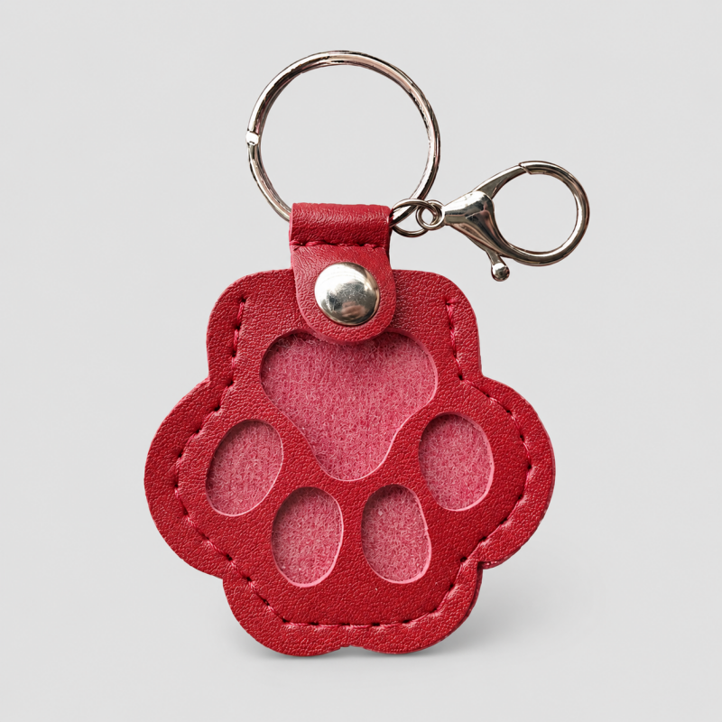 Fresh Lint Remover Keychain