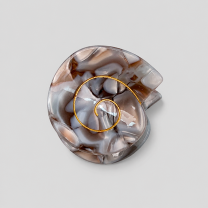 Nautilus Conch Gold Line Hair Claw Clip