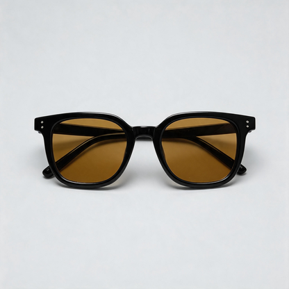 Black Frame Tea Tint Sunglasses