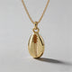 Cowrie Shell / One Size