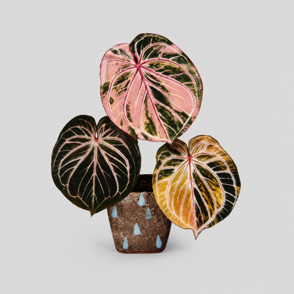 Rotatable Leaf Printed Fridge Magnet