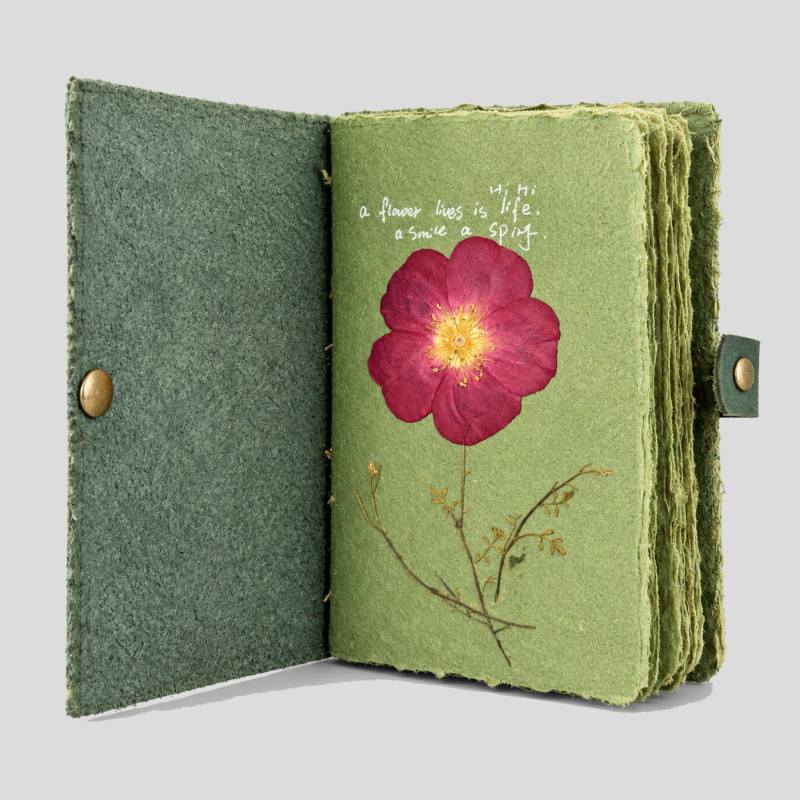 Matcha Journal Blank Notebook