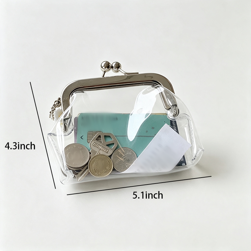 Clear Kiss Lock Pouch
