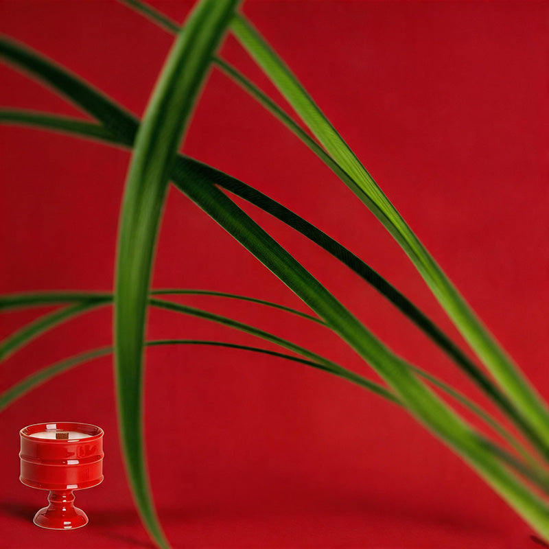 Ins Style Goblet Soy Wax Scent - Shopdayla Wholesale - #4962