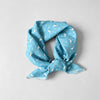 Blue Duck / One Size