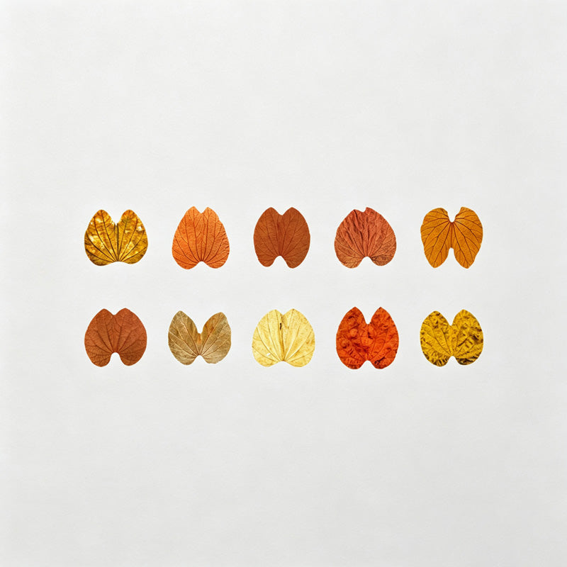 Leaf Shaped Washi Tape Roll