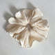 Beige / One Size