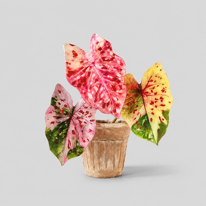 Rotatable Leaf Printed Fridge Magnet