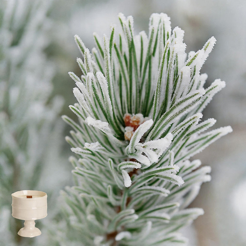Ins Style Goblet Soy Wax Scent - Shopdayla Wholesale - #0498