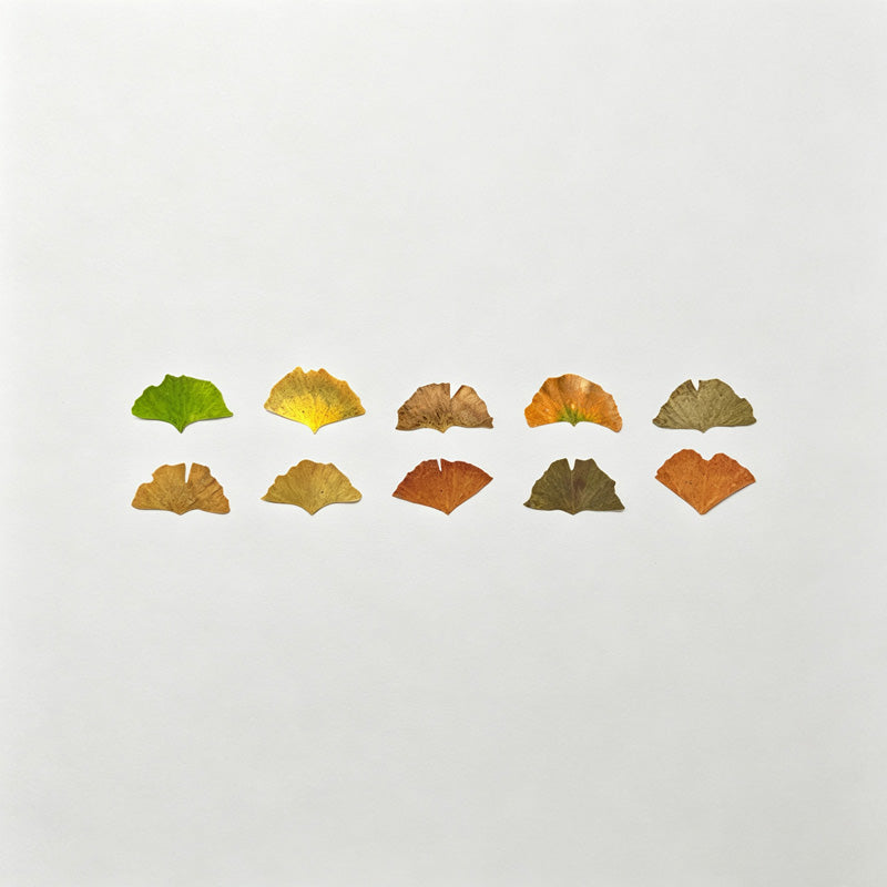 Leaf Shaped Washi Tape Roll