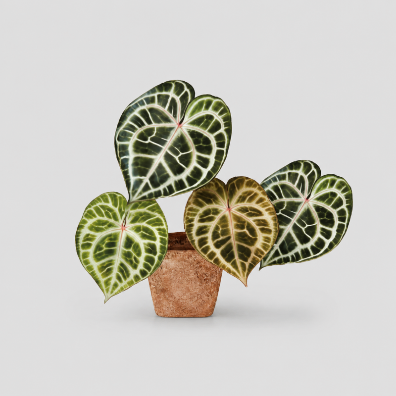 Rotatable Leaf Printed Fridge Magnet
