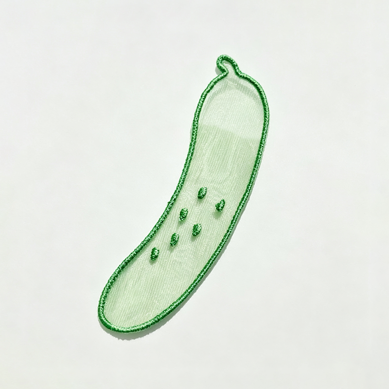 Transparent Embroidery Mesh Bookmarks