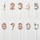 Rose Gold / One Size/ Num 0