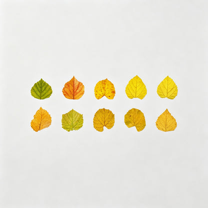 Leaf Shaped Washi Tape Roll
