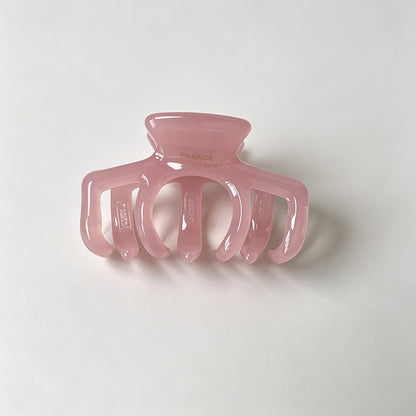 Small Tortoise Claw Clip