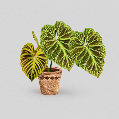 Rotatable Leaf Printed Fridge Magnet
