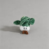 Chinese cabbage / One Size