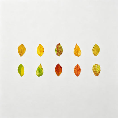 Leaf Shaped Washi Tape Roll