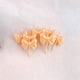 Light Orange / One Size/1Pack/5PCS