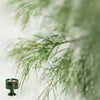 Green / Forest Pine
