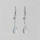 Teardrop Earrings / One Size