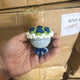 Sapphire / One Size