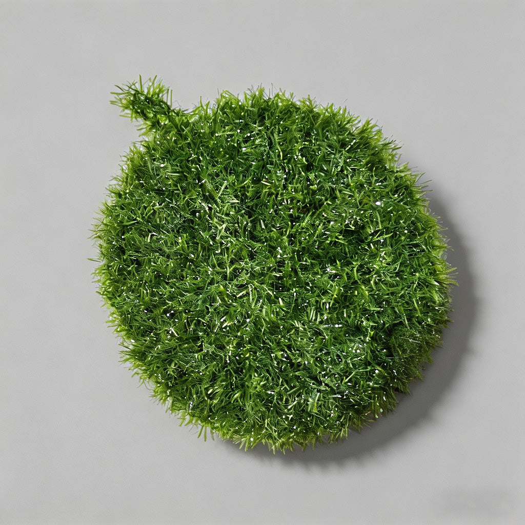 Avocado Dish Scrubber - Shopdayla Wholesale - #9058