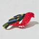 Red Parrot / One Size