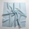 Light Blue / One Size