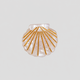 Apricot Shell / One Size