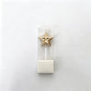 Champagne / Star