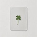 12 PCS Lucky Four-Leaf Clover - Shopdayla Wholesale - #1874