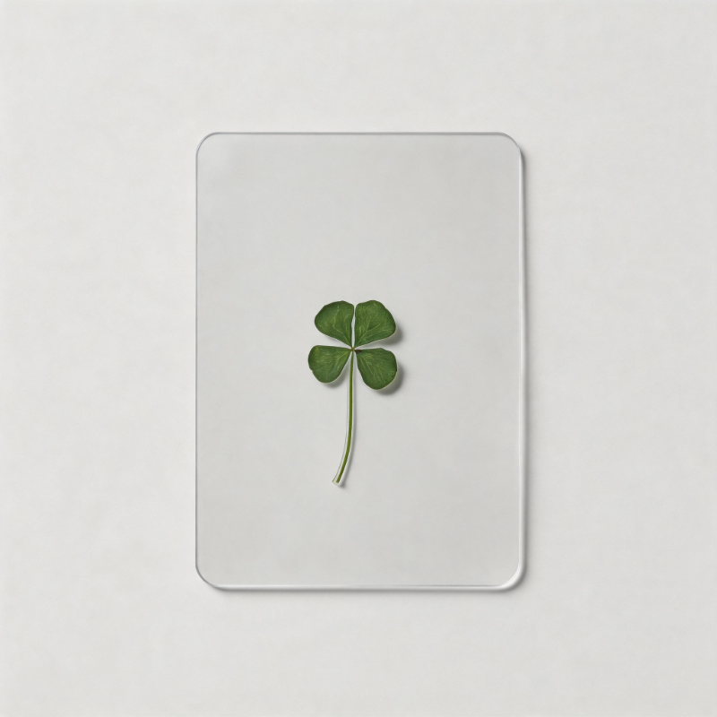 12 PCS Lucky Four-Leaf Clover - Shopdayla Wholesale - #1874